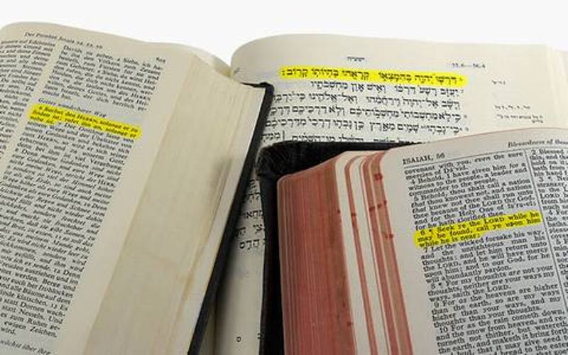 BIBLIJSKE SITNICE (7)